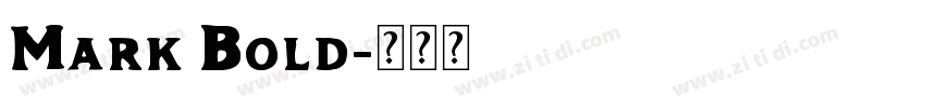 Mark Bold字体转换